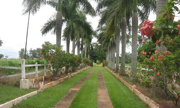 ESTÂNCIA FAZENDA PIMENTA -15